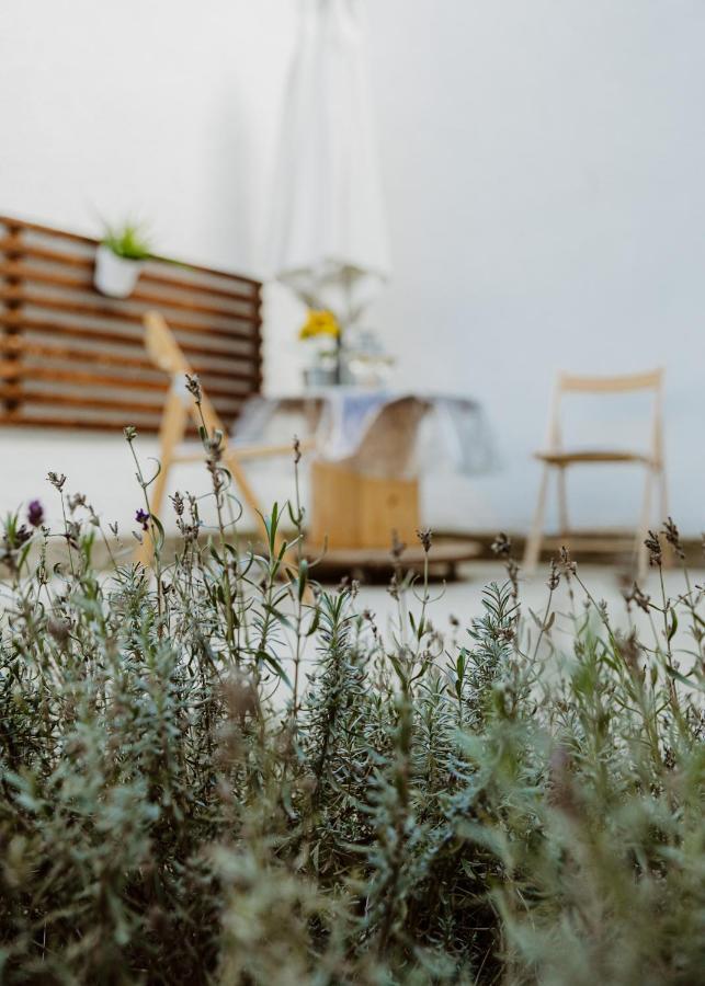 Major11 Apartman - Zsolnay Negyed Pécs Buitenkant foto